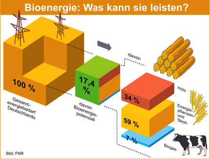 bioenergie